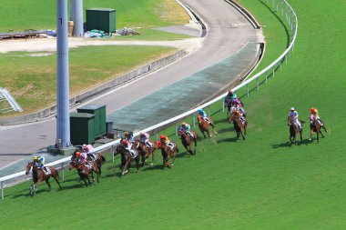 Hong Kong Jockey Club adlı yarış atı.
