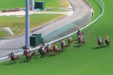 Hong Kong Jockey Club adlı yarış atı.