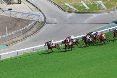 Hong Kong Jockey Club adlı yarış atı.