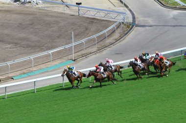 Hong Kong Jockey Club adlı yarış atı.