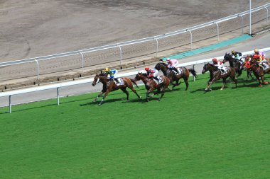 Hong Kong Jockey Club adlı yarış atı.