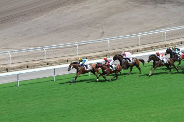 Hong Kong Jockey Club adlı yarış atı.