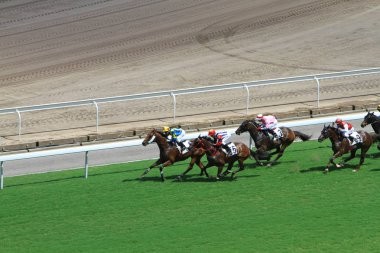 Hong Kong Jockey Club adlı yarış atı.