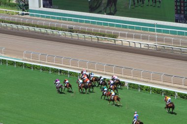 Hong Kong Jockey Club adlı yarış atı.