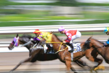 Hong Kong sha Tin Fo Ta Racecourse