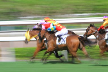 Hong Kong sha Tin Fo Ta Racecourse
