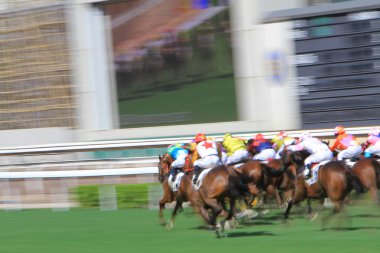 Hong Kong Racecourse adlı yarış atı