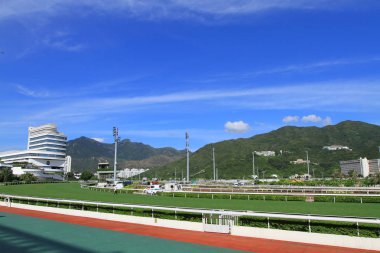 At yarışı Kong'da sırasında ifade