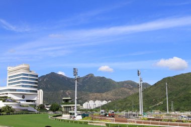At yarışı Kong'da sırasında ifade