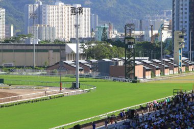 At yarışı Kong'da sırasında ifade