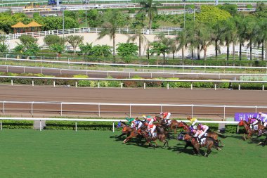 Hong Kong sha Tin Fo Ta Racecourse