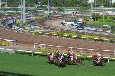 Hong Kong sha Tin Fo Ta Racecourse