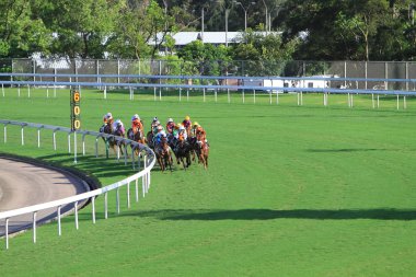Sha Tin at yarışı için iki racecourses biridir