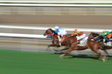 Sha Tin at yarışı için iki racecourses biridir