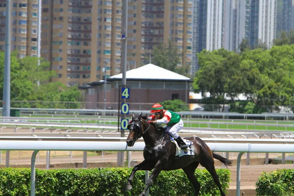 Una Corsa Cavalli Hong Kong Jockey Club — Foto Stock