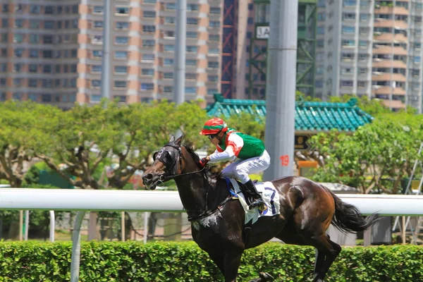 Una Corsa Cavalli Hong Kong Jockey Club — Foto Stock