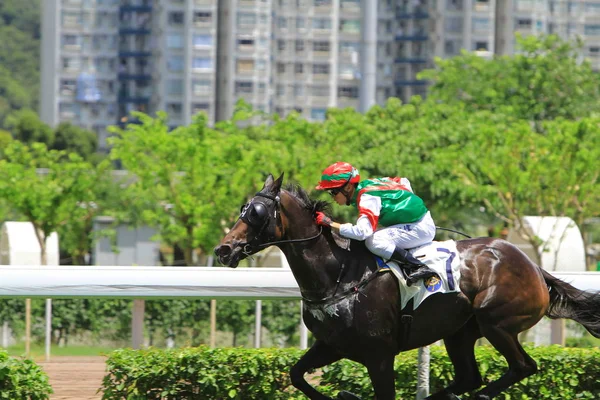 Horse Racing Hong Kong Jockey Club — Stock Photo, Image