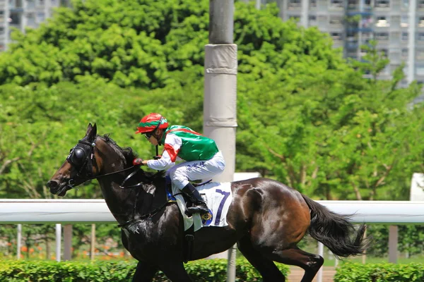 Horse Racing Hong Kong Jockey Club — Stock Photo, Image