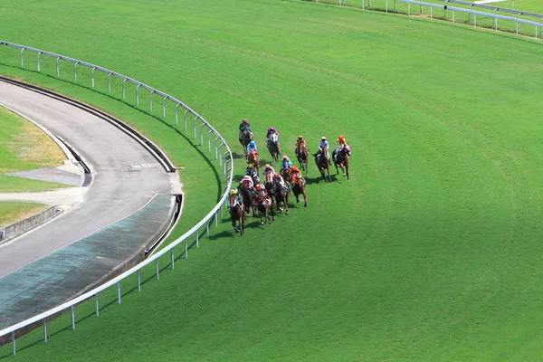 Hong Kong Jockey Club Adlı Yarış Atı — Stok fotoğraf