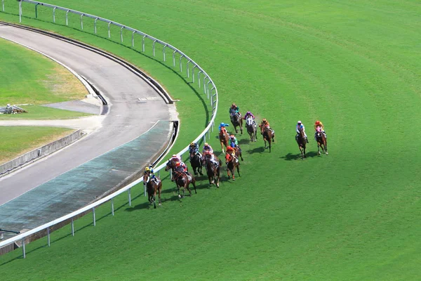 Hong Kong Jockey Club Adlı Yarış Atı — Stok fotoğraf