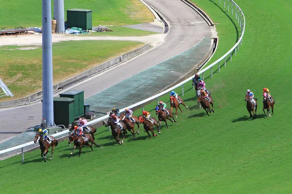 Hong Kong Jockey Club Adlı Yarış Atı — Stok fotoğraf