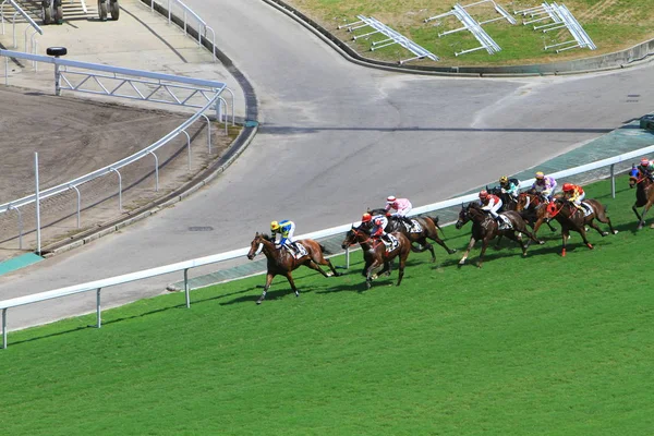 Άλογο Ιπποδρομιών Στο Χονγκ Κονγκ Jockey Λέσχη — Φωτογραφία Αρχείου