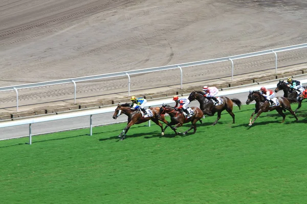 Horse Racing Hong Kongu Jockey Club — Zdjęcie stockowe