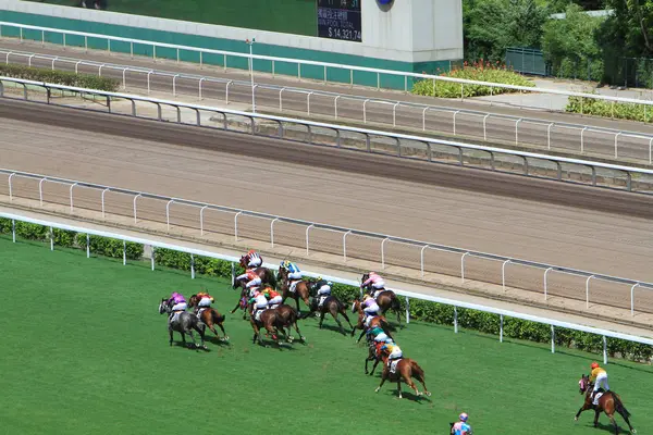 Hong Kong Jockey Club Adlı Yarış Atı — Stok fotoğraf