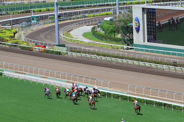 Hong Kong Jockey Club Adlı Yarış Atı — Stok fotoğraf