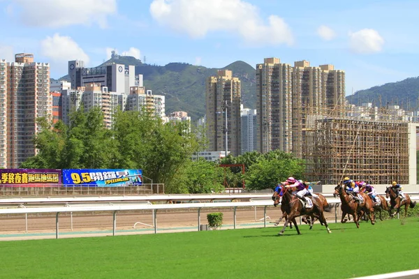 Hong Kong Sha Tin Racecourse — Stok fotoğraf