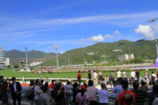 Carreras Caballos Hipódromo —  Fotos de Stock