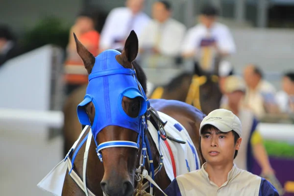 Racecourse Hong Kong Sha Tin — Fotografia de Stock