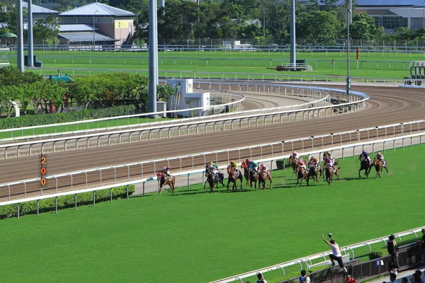 Sha Tin Одним Двох Іподроми Скачки — стокове фото