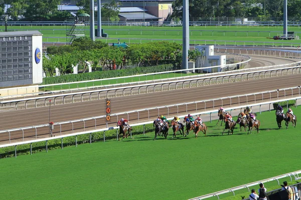 Sha Tin Yarışı Için Iki Racecourses Biridir — Stok fotoğraf