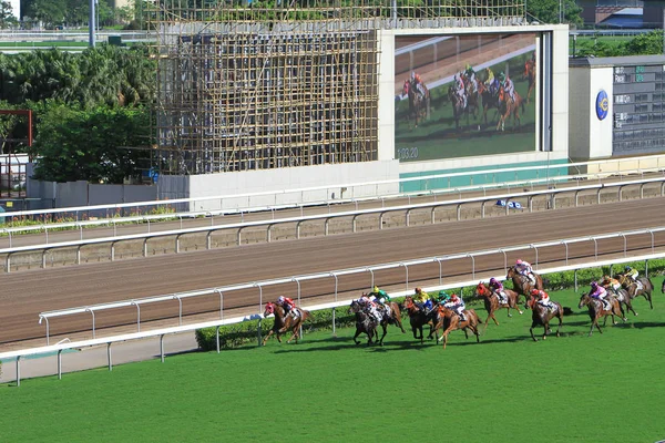 Sha Tin Jedním Dvou Závodišť Pro Dostihy — Stock fotografie