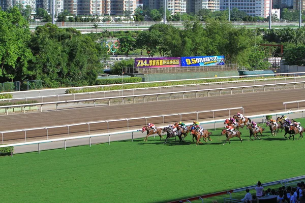 Racecourse Hong Kong Sha Tin — Stockfoto