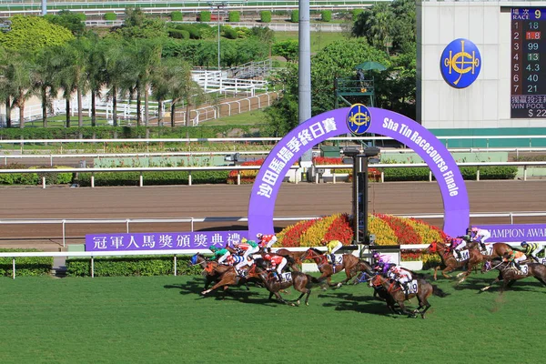 Hipódromo Hong Kong Sha Tin — Foto de Stock