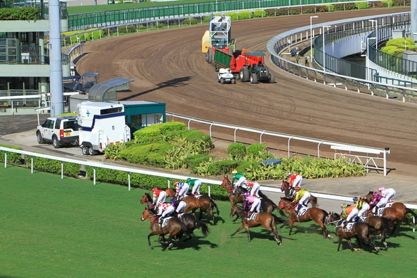 Hong Kong Sha Tin Racecourse — Stok fotoğraf