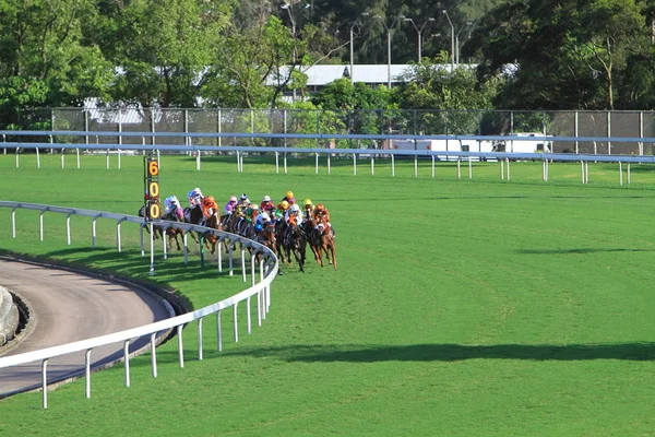 Hong Kong Sha Tin Racecourse — Stok fotoğraf