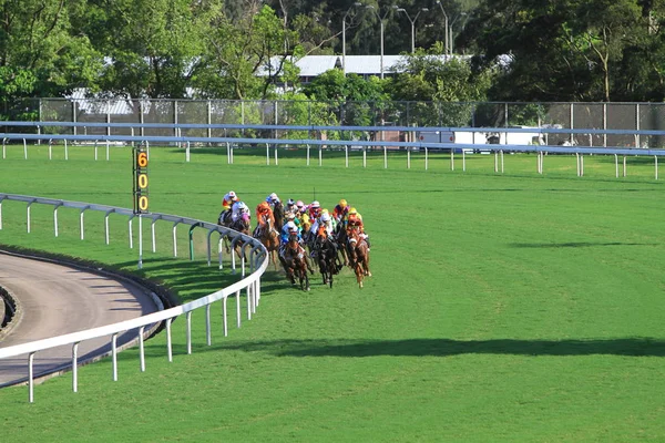 Sha Tin Yarışı Için Iki Racecourses Biridir — Stok fotoğraf