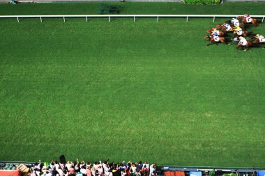 Happy Valley Yarış alanı, bir gece racig 
