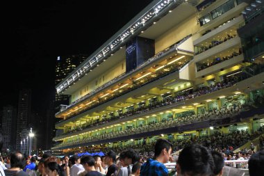 Happy Valley Racecourse yarış atı 