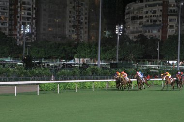 Happy Valley Yarış alanı, bir gece racig