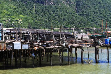 Tai O, Hong Kong 2010 yılında balıkçı köyü