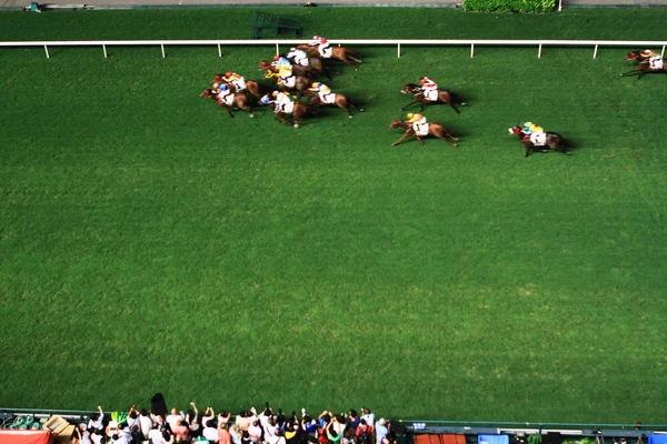 Una Noche Racismo Campo Carreras Happy Valley — Foto de Stock