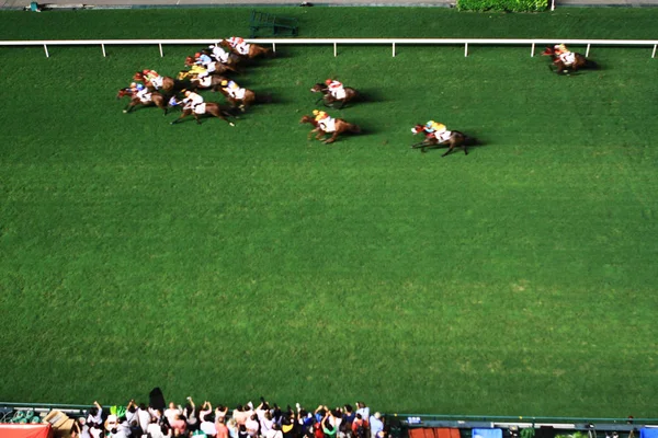 Night Racig Happy Valley Racing Field — Stock Photo, Image