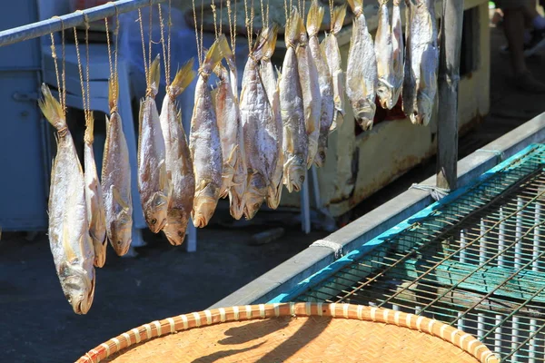 大澳的咸鱼 — 图库照片
