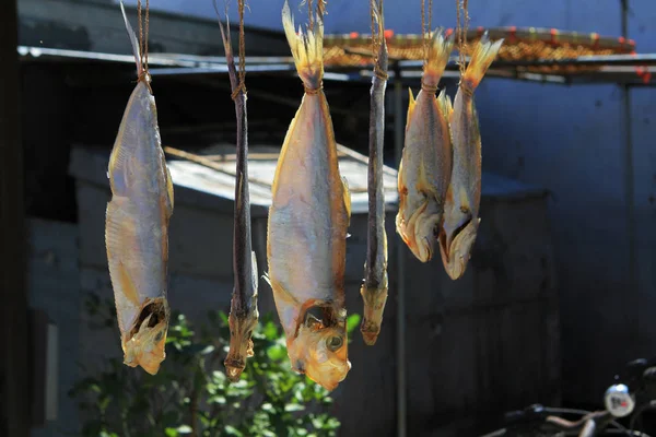 Salted Fishes Tai — Stock Photo, Image