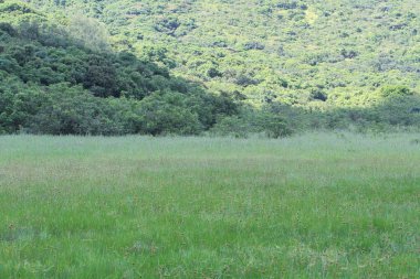 sai doğa manzaraya kung 2010