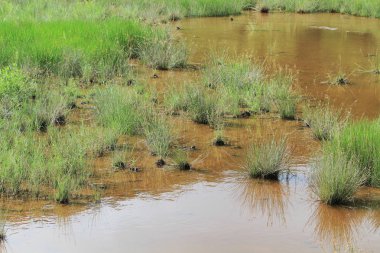 Maclehose iz sn 1, Sai Kung